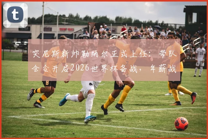 突尼斯新帅勒纳尔正式上任:带队会合开启2026世界杯备战,年薪战术与出线前景全面解读
